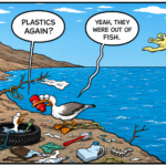 waste management