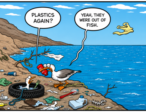 Waste Not, Want Not: Turning Waste into Opportunity